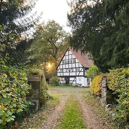 Wassermuehle Triglitz - Alleinlage Fuer Retreats, Workshops, Family & Friends 外观 照片