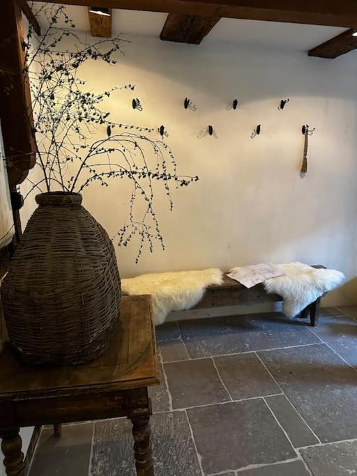 Wassermuehle Triglitz - Alleinlage Fuer Retreats, Workshops, Family & Friends 外观 照片