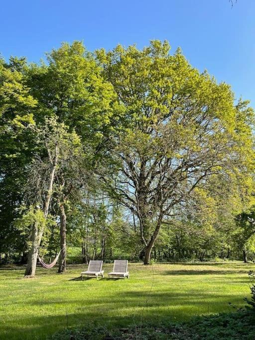 Wassermuehle Triglitz - Alleinlage Fuer Retreats, Workshops, Family & Friends 外观 照片