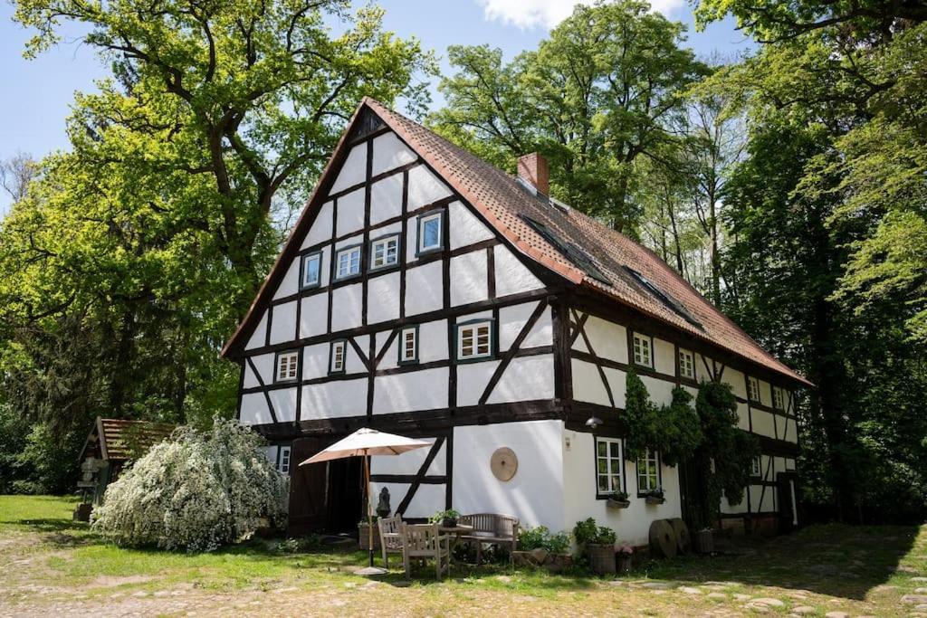 Wassermuehle Triglitz - Alleinlage Fuer Retreats, Workshops, Family & Friends 外观 照片