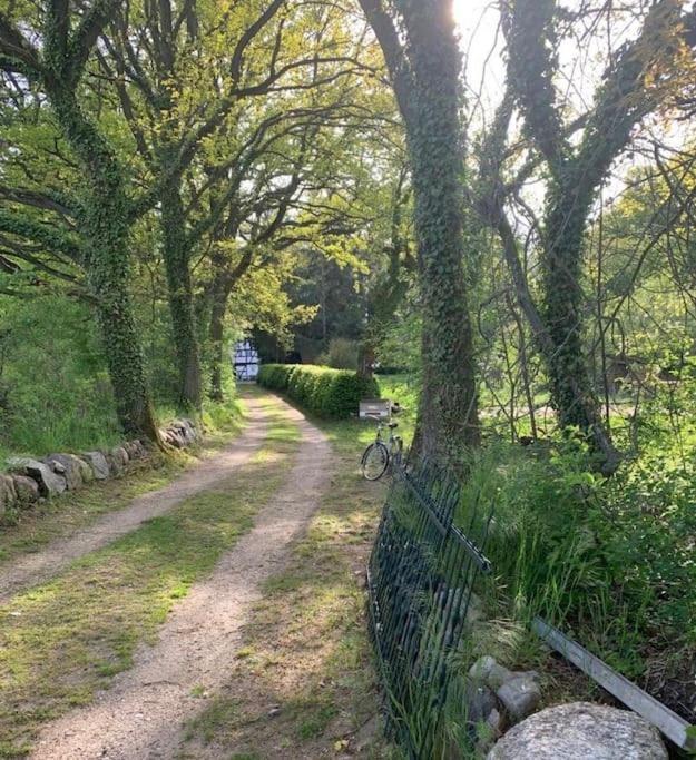 Wassermuehle Triglitz - Alleinlage Fuer Retreats, Workshops, Family & Friends 外观 照片
