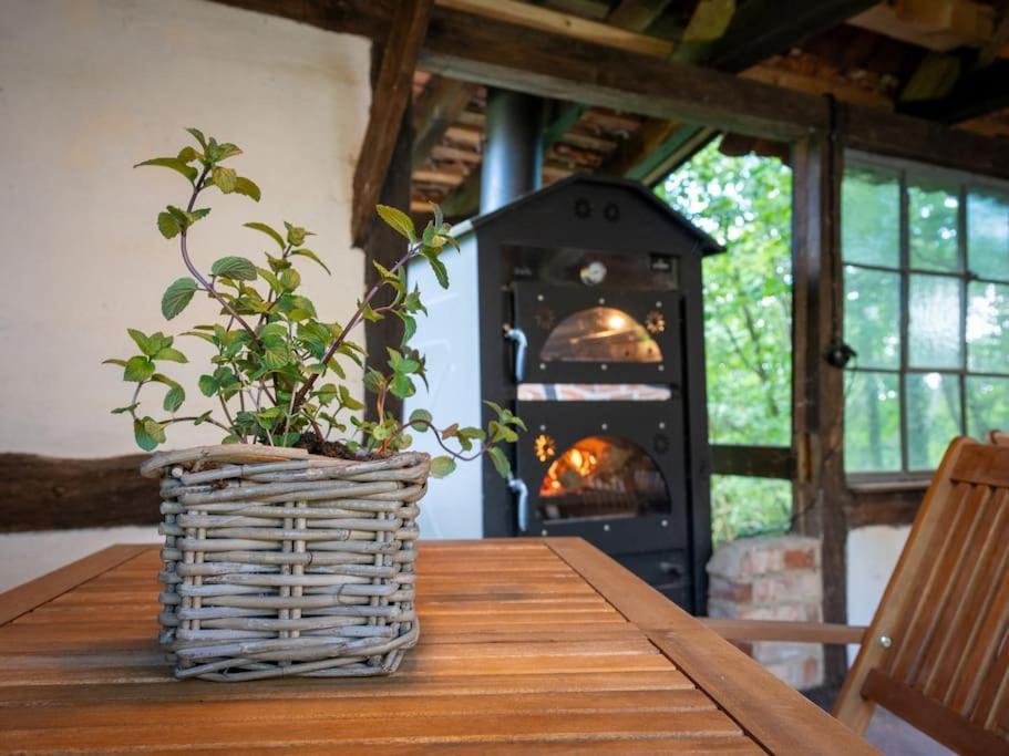 Wassermuehle Triglitz - Alleinlage Fuer Retreats, Workshops, Family & Friends 外观 照片