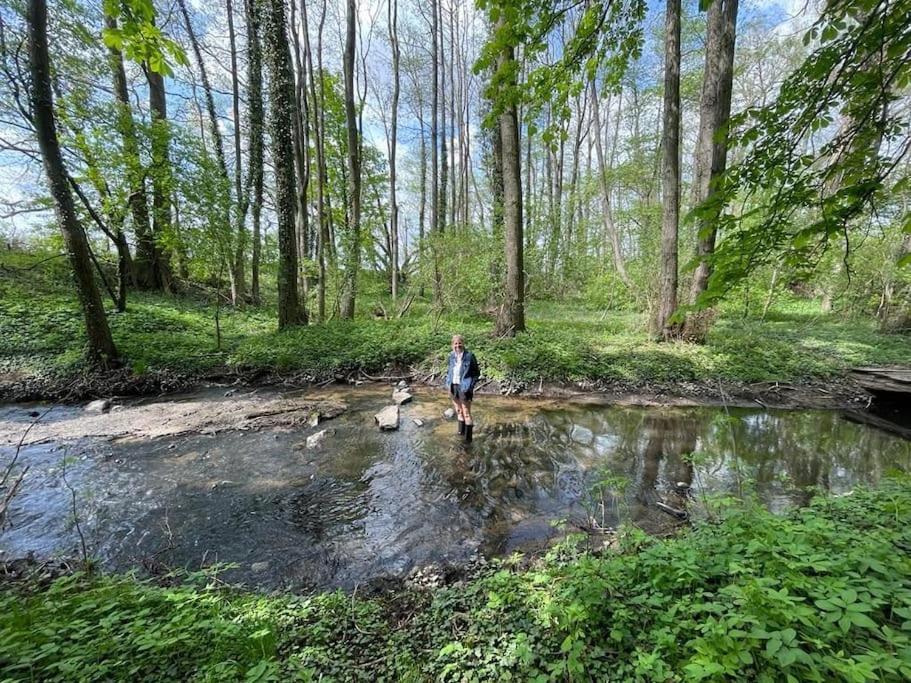 Wassermuehle Triglitz - Alleinlage Fuer Retreats, Workshops, Family & Friends 外观 照片